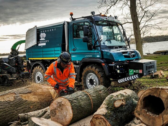 tree-cutting-square tree-cutting-square